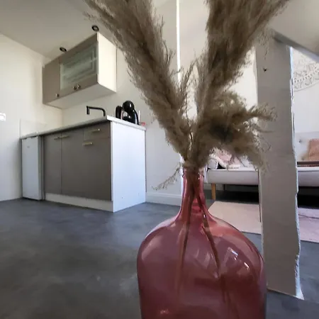 Agence Du Sacre Coeur Immobilier Lejlighed Perpignan